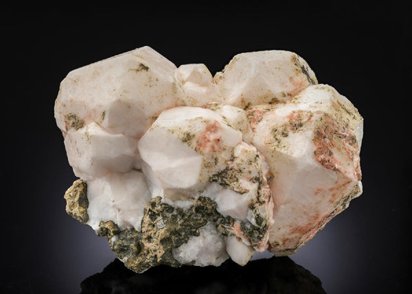 CC28203 specimen image