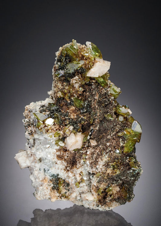 CC28209 specimen image