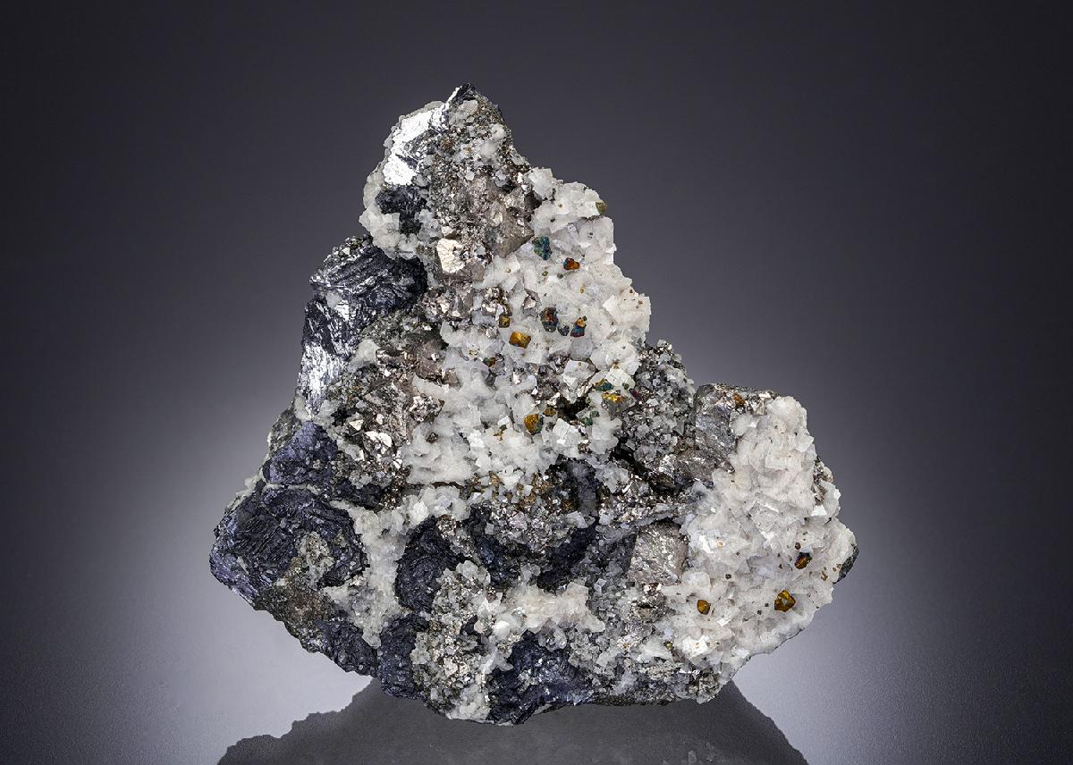 CC28213 specimen image