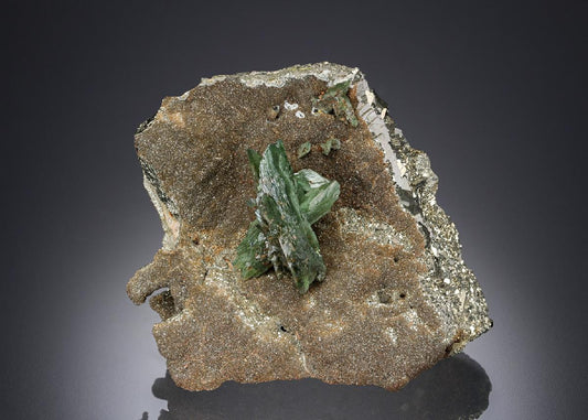 CC28217 specimen image