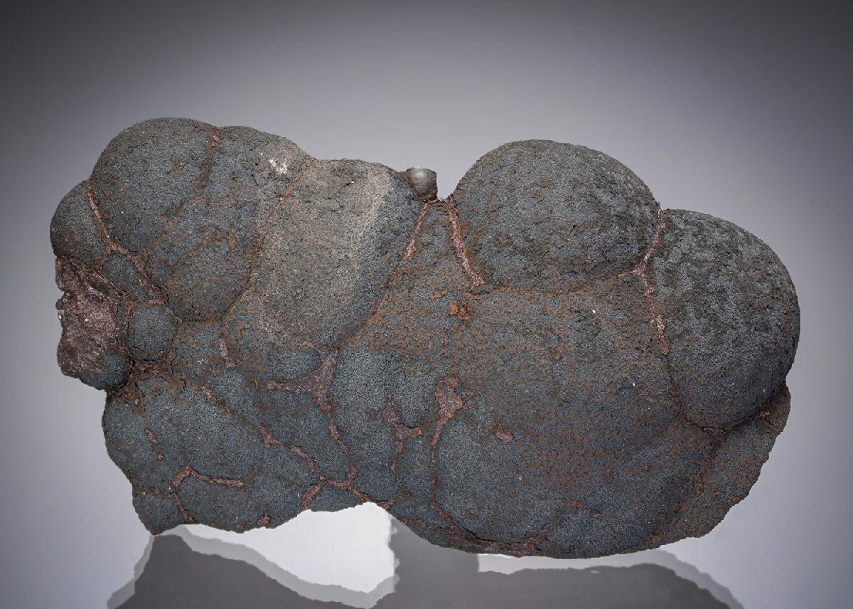 CC28223 specimen image