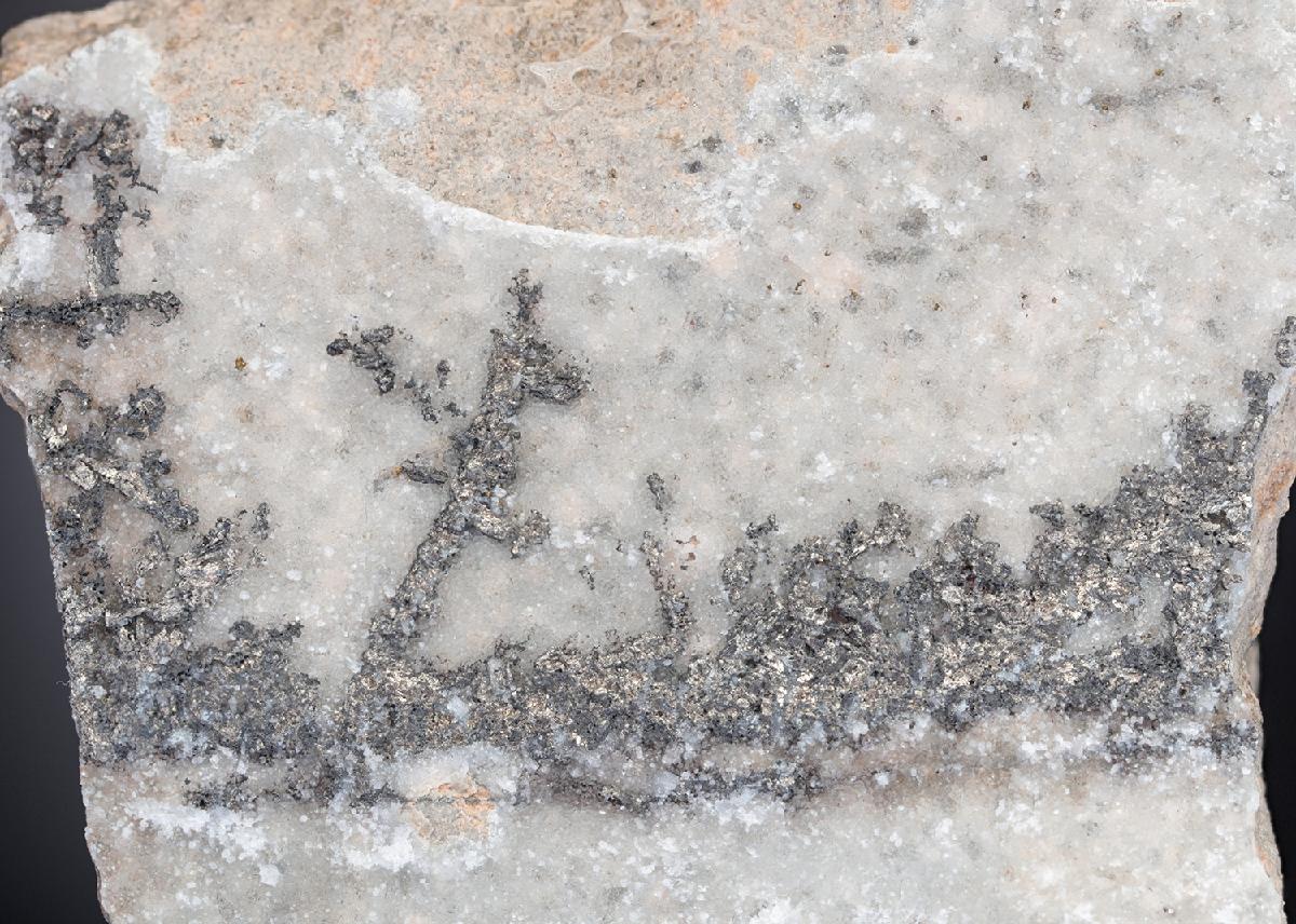 CC28229 specimen image