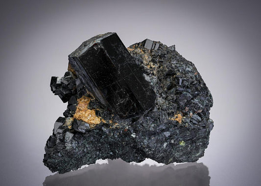 CC28233 specimen image