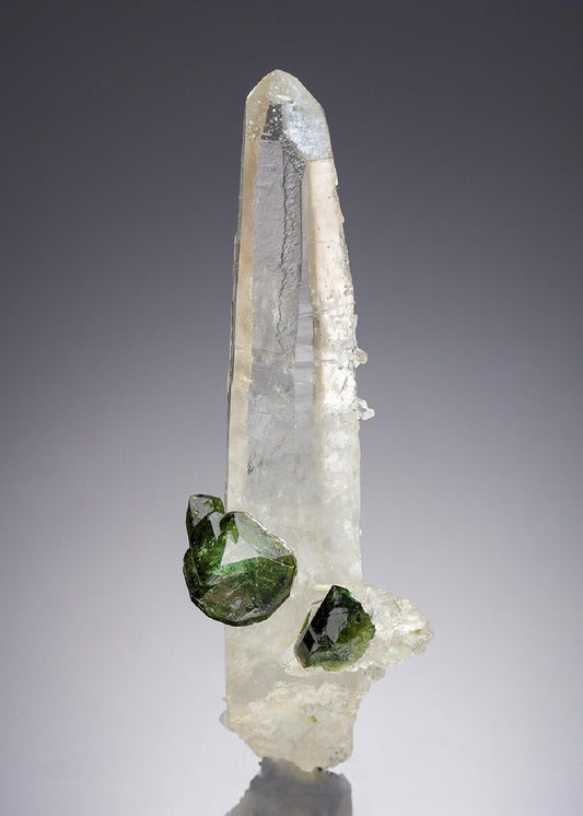 CC28239 specimen image