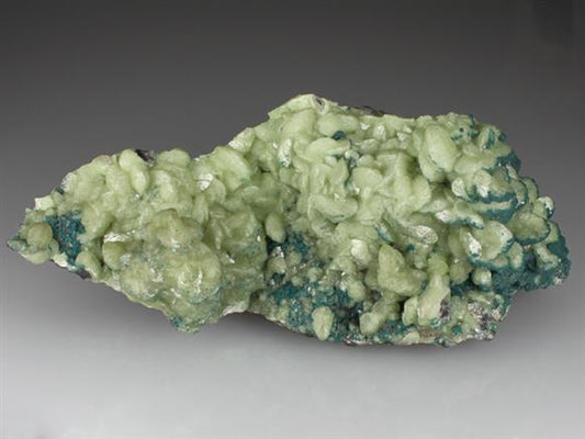 CC2824 specimen image