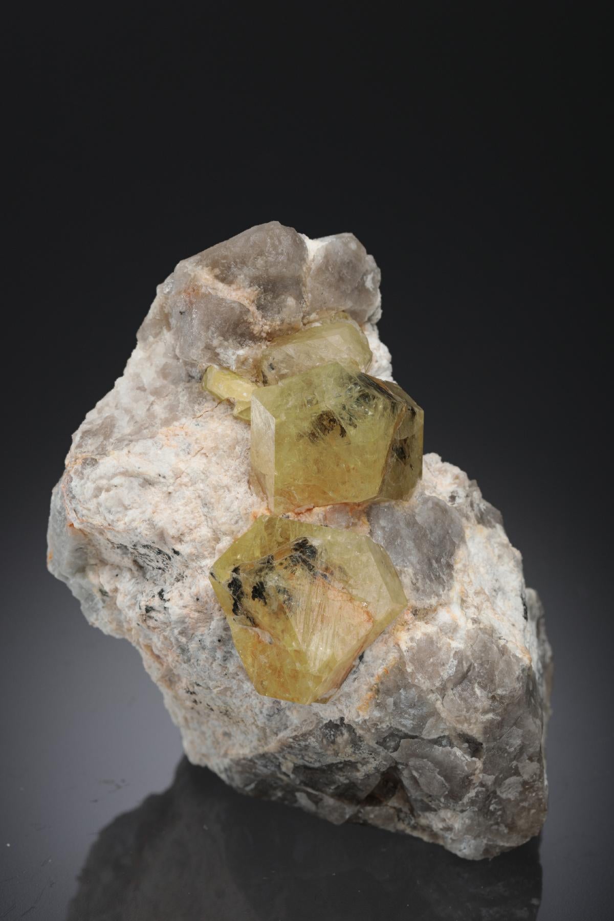 CC28243 specimen image