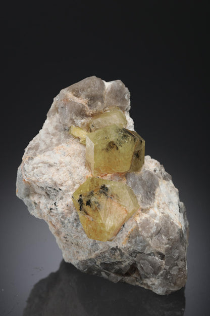CC28243 specimen image