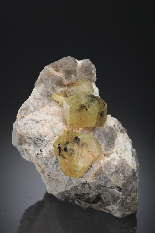 CC28243 specimen image