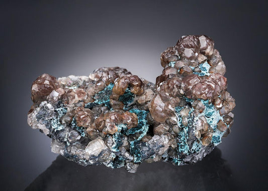 CC28247 specimen image