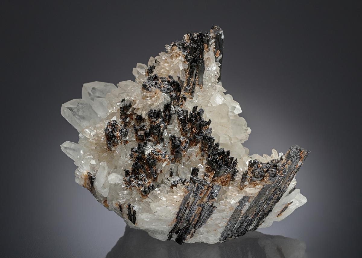 CC28249 specimen image