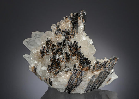 CC28249 specimen image