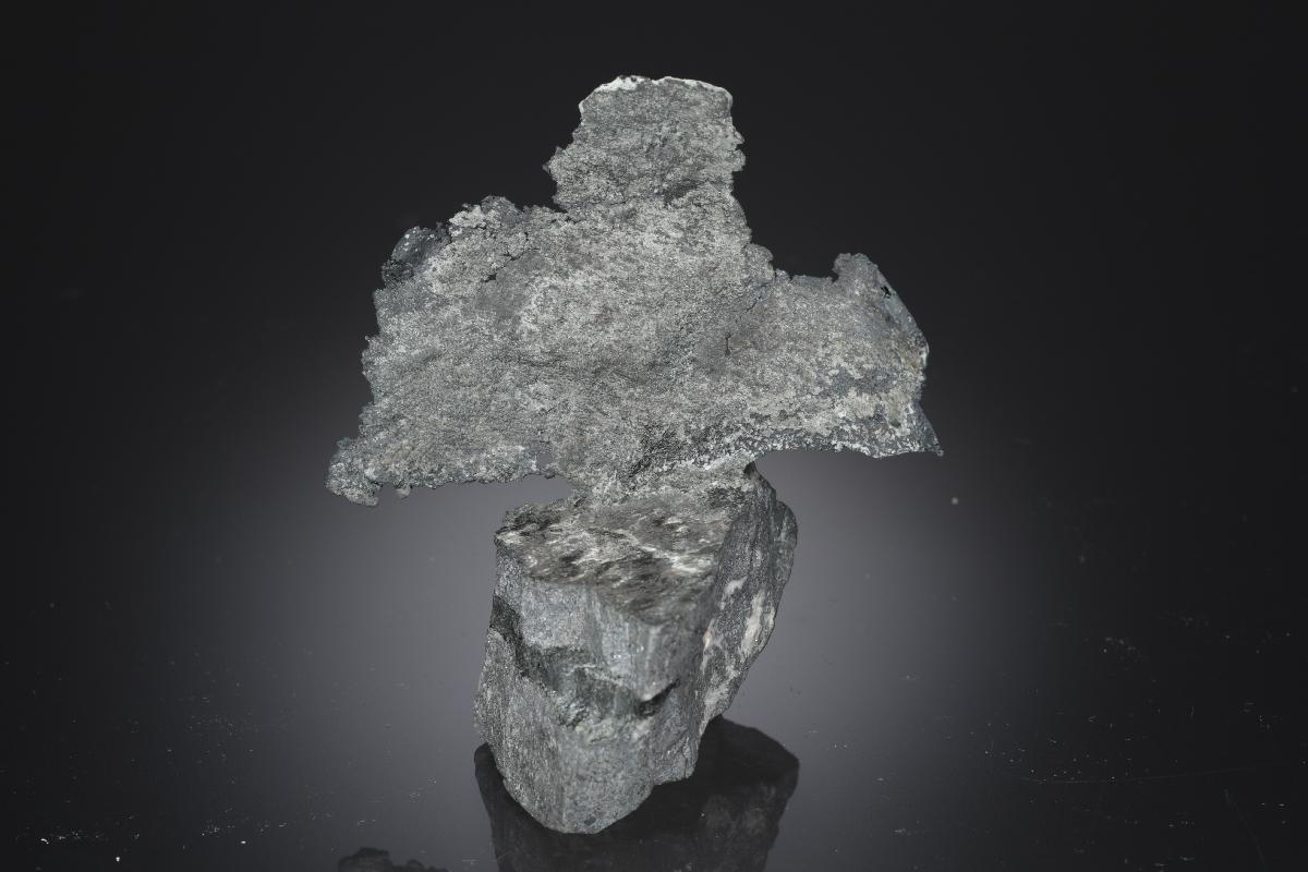 CC28253 specimen image