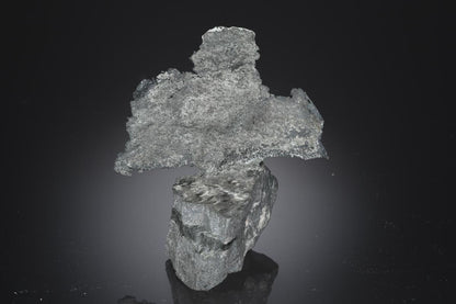 CC28253 specimen image