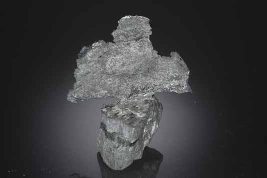 CC28253 specimen image