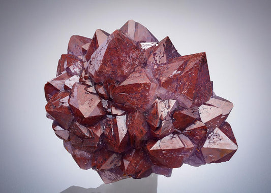 CC28263 specimen image
