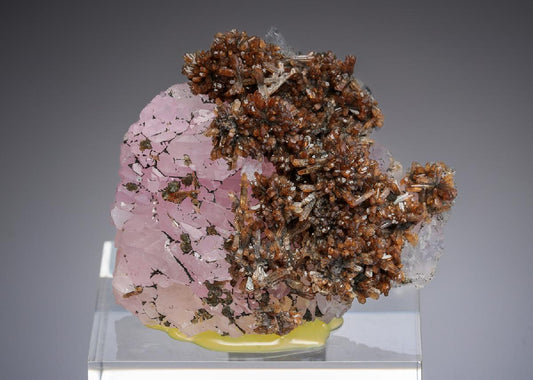 CC28267 specimen image