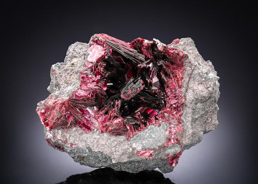 CC28285 specimen image