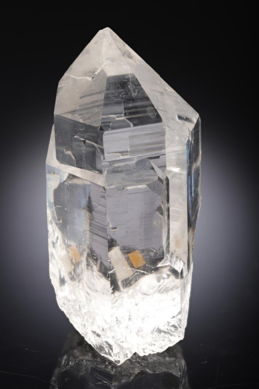 CC28291 specimen image