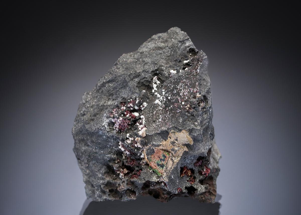 CC28301 specimen image