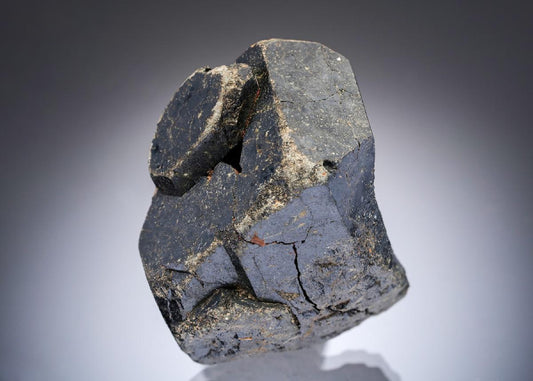 CC28309 specimen image