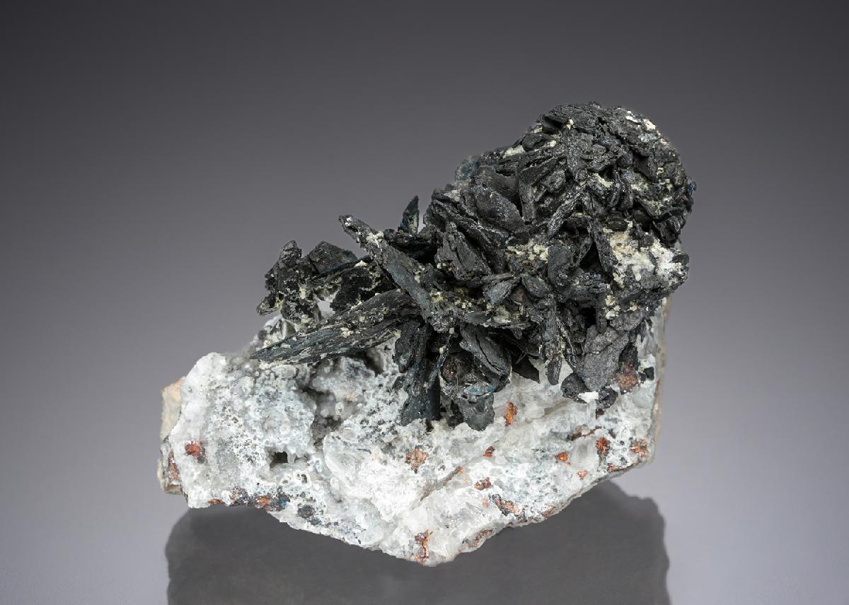 CC28317 specimen image