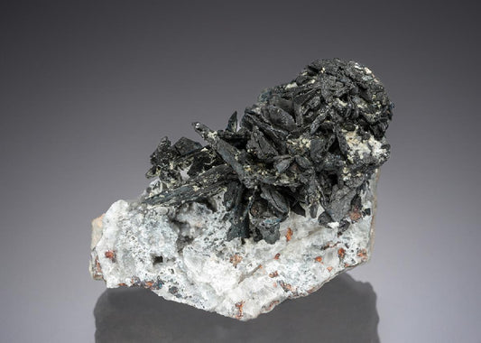 CC28317 specimen image