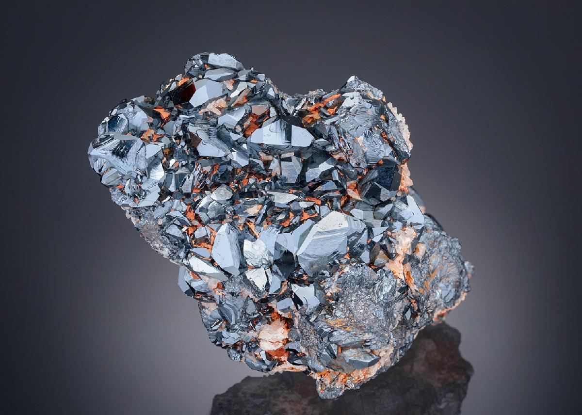 CC28321 specimen image