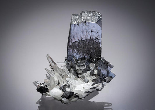 CC28327 specimen image
