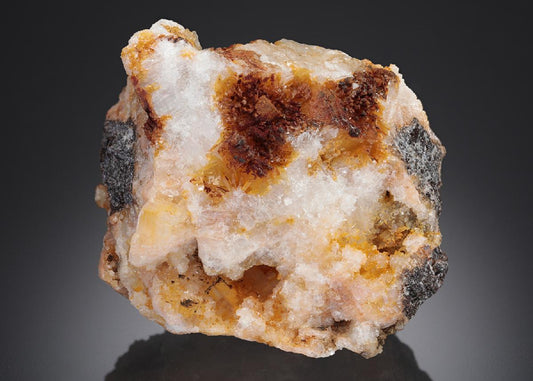 CC28333 specimen image