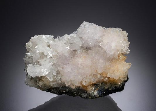 CC28337 specimen image