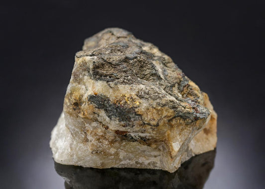 CC28345 specimen image