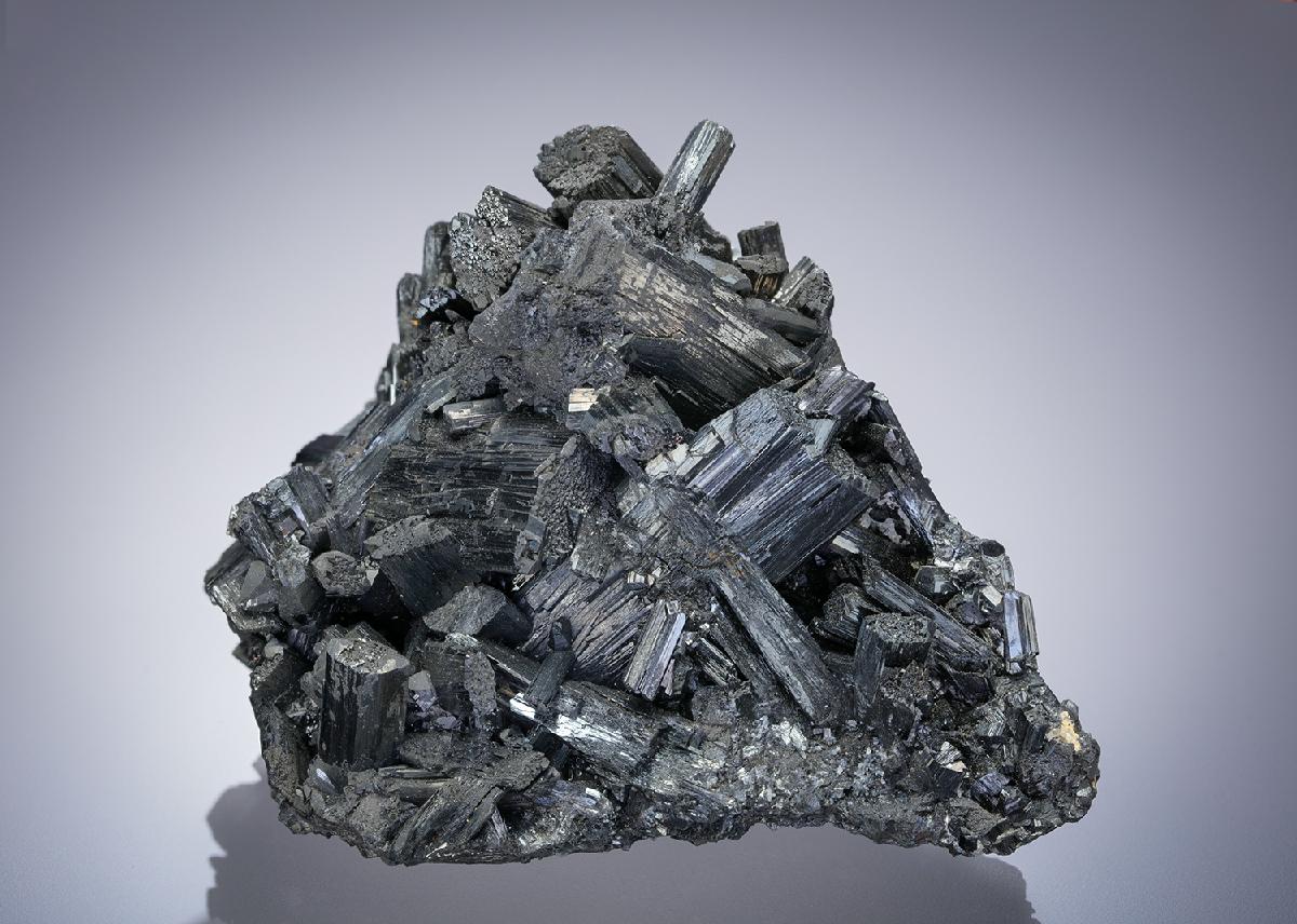 CC2836 specimen image