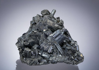 CC2836 specimen image