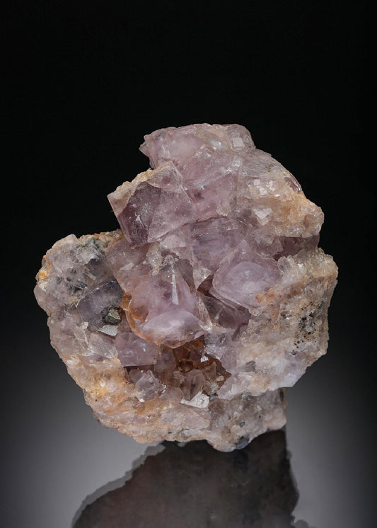 CC28361 specimen image