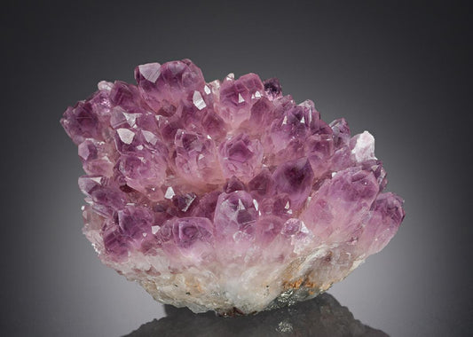CC28367 specimen image