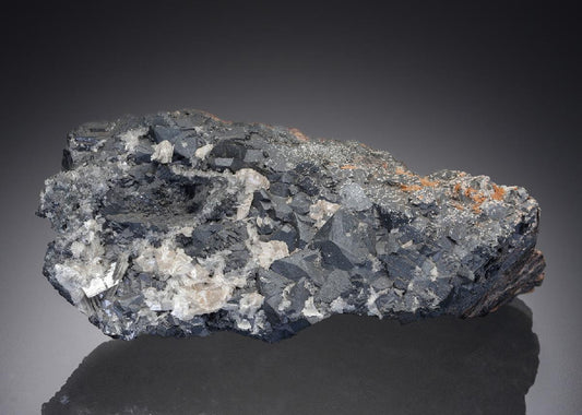 CC28375 specimen image