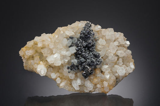 CC28377 specimen image