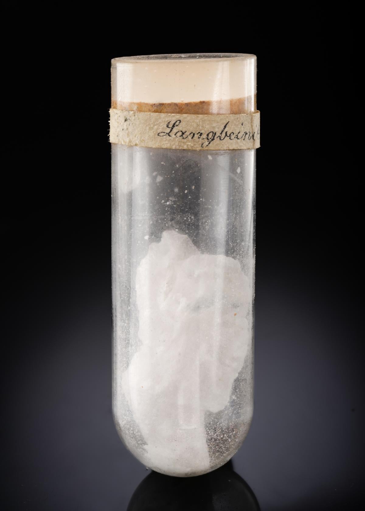 CC28399 specimen image