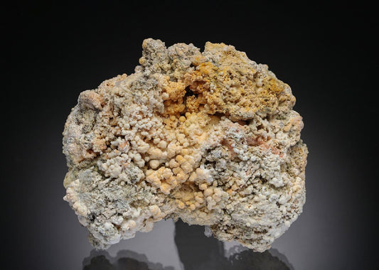 CC28401 specimen image