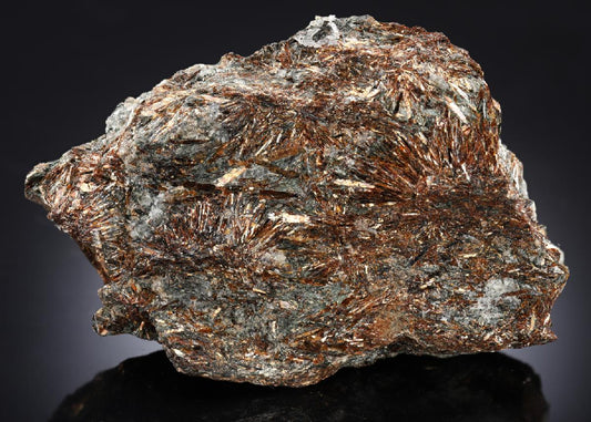 CC28405 specimen image