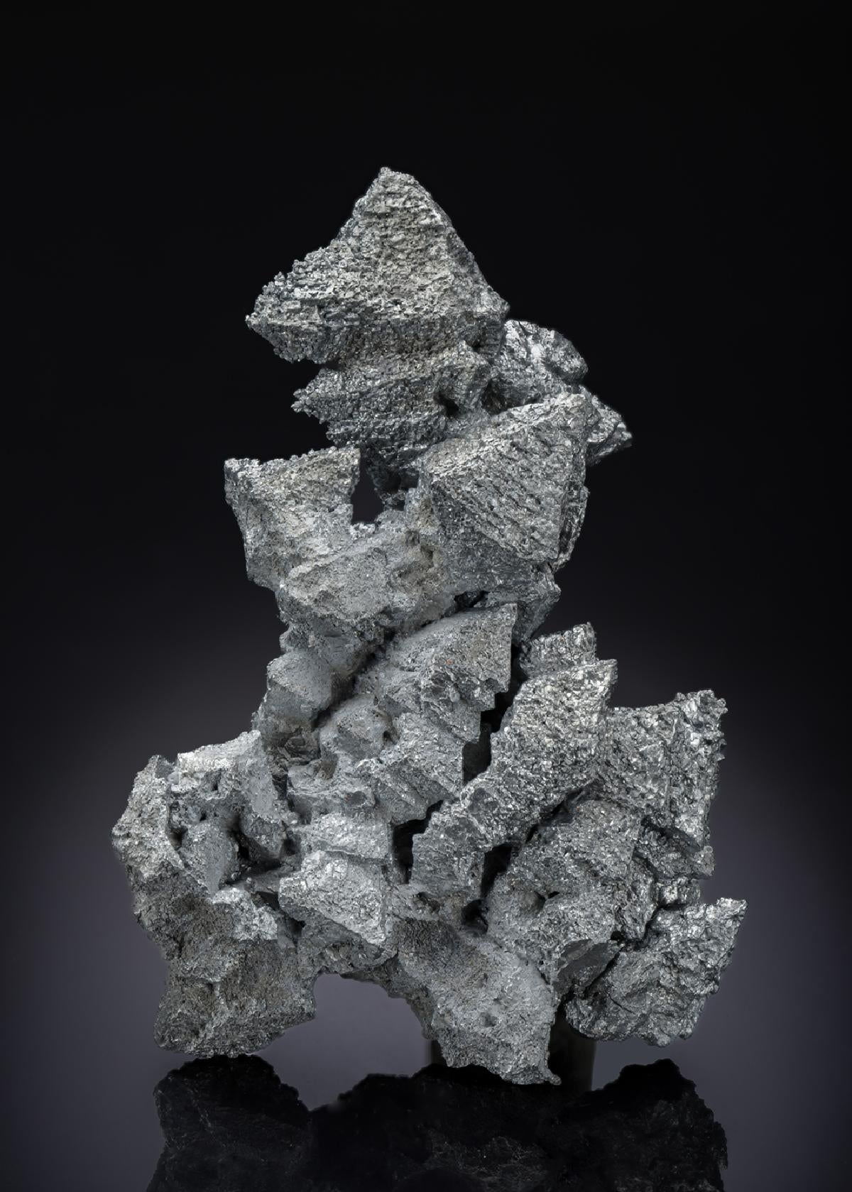 CC28431 specimen image