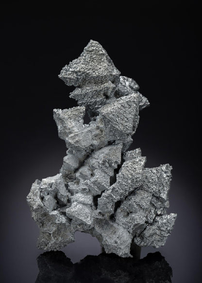 CC28431 specimen image