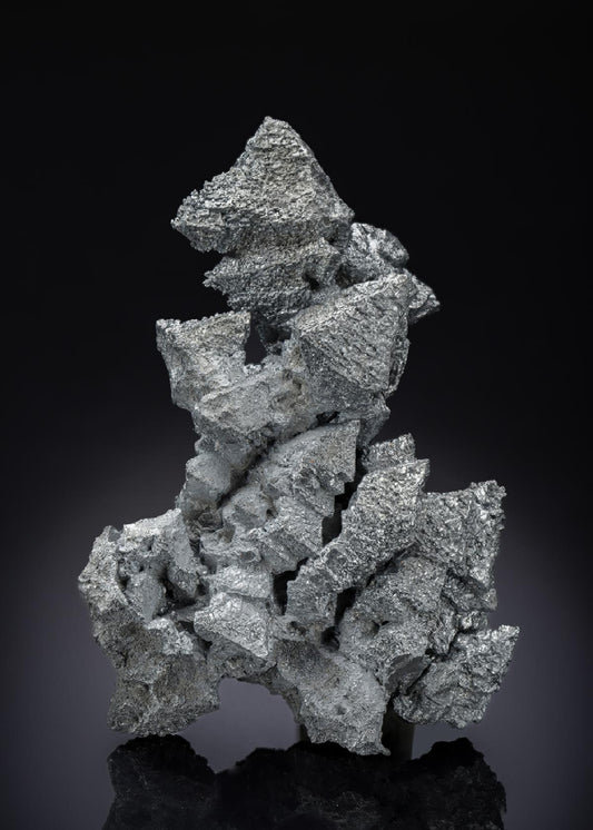 CC28431 specimen image