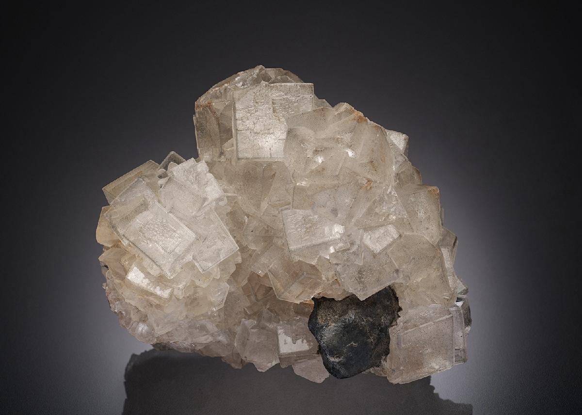 CC28433 specimen image
