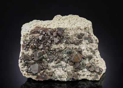 CC28435 specimen image