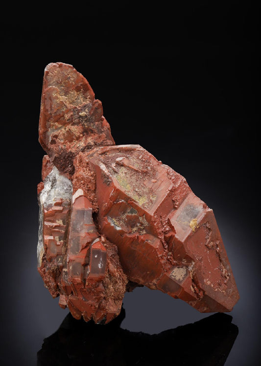 CC28441 specimen image