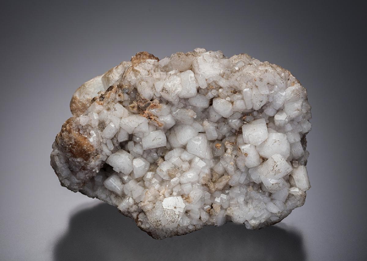 CC28443 specimen image