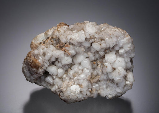 CC28443 specimen image