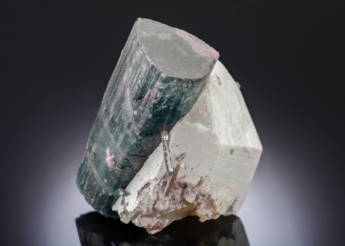 CC28449 specimen image