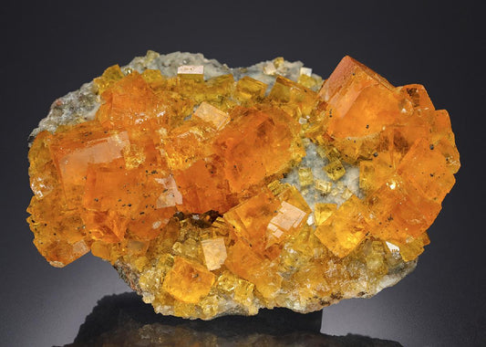 CC28457 specimen image